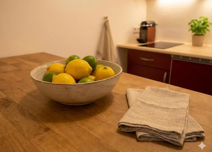 Studio, Central, Prater, Schwedenplatz Apartament
